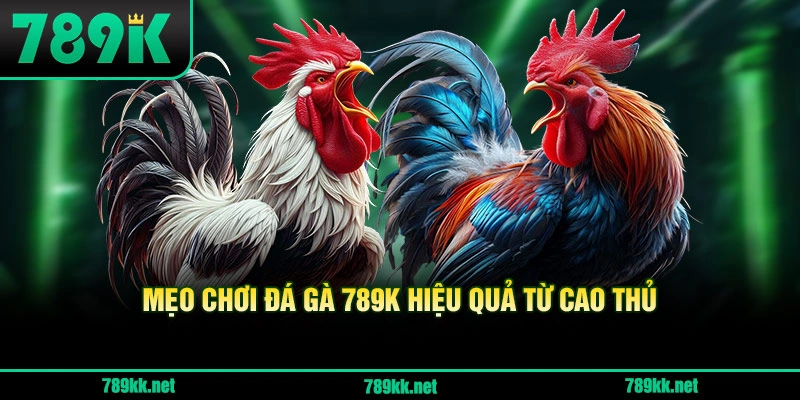Mẹo Chơi Đá Gà 789K Hiệu Quả Từ Cao Thủ